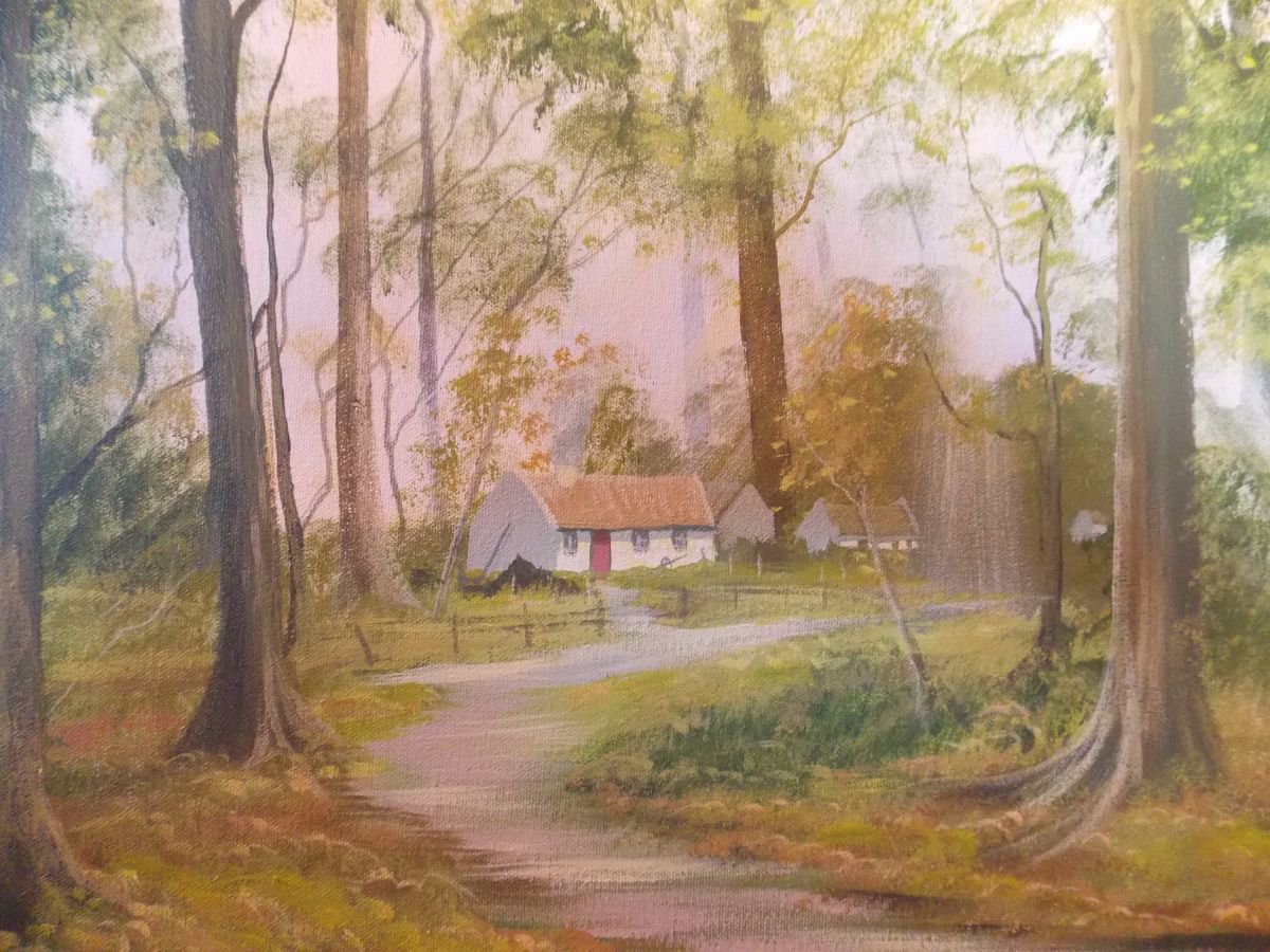 cottage in the woods by cathal o malley