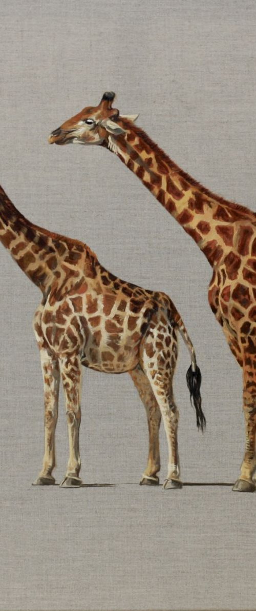 Pair of Giraffe by Hannah  Bruce