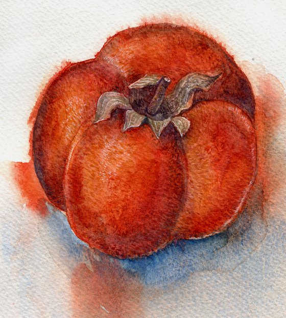 Watercolor persimmon