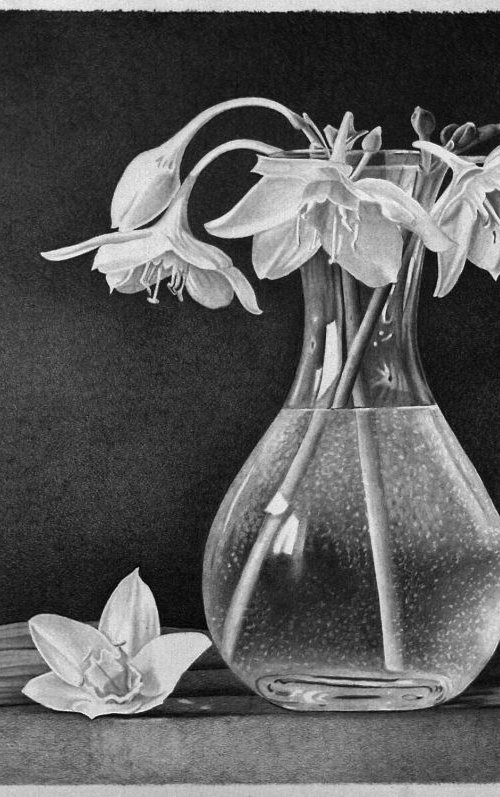 White Blossoms by Dietrich Moravec