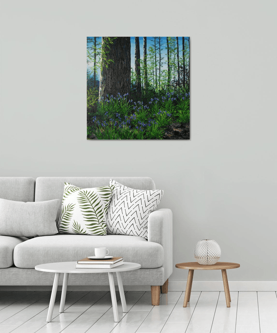 Forest Floor in Spring