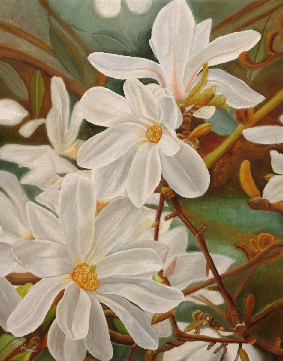 Magnolias by Angeles M. Pomata