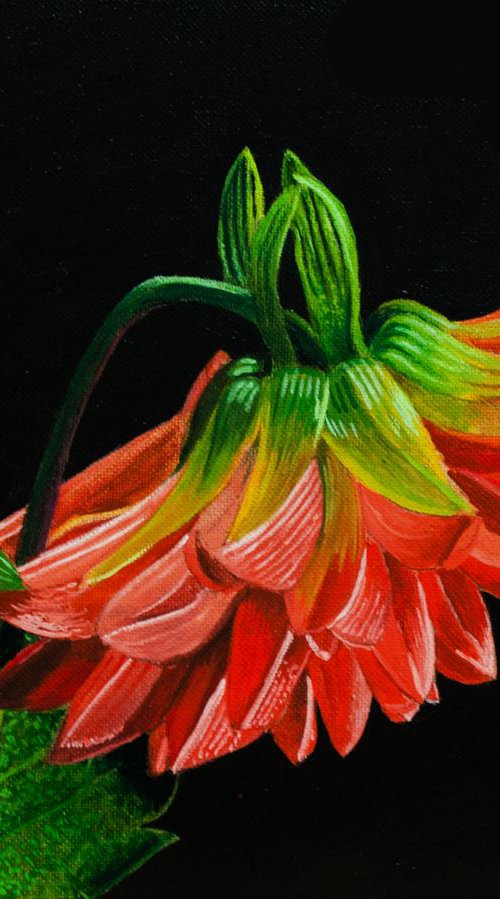 Bud And Blossom by Dietrich Moravec