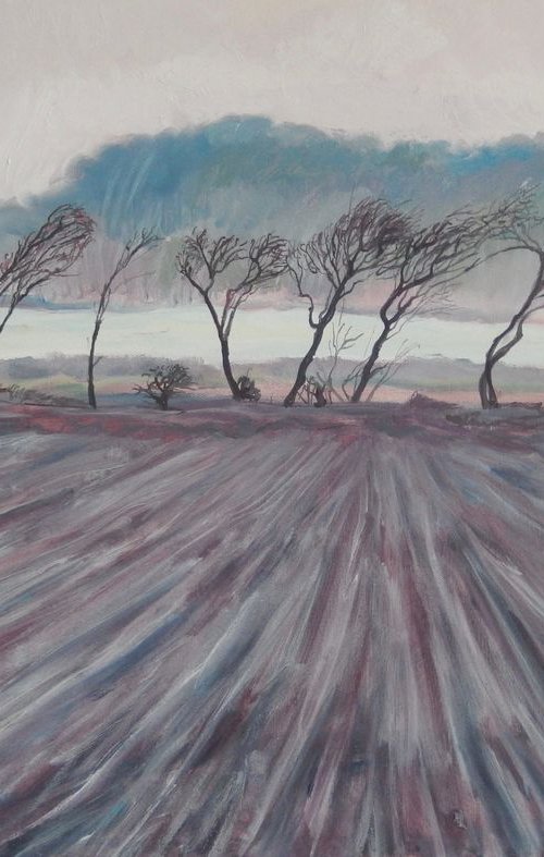 Winter Trees Near Pittenweem by Stephen Howard Harrison