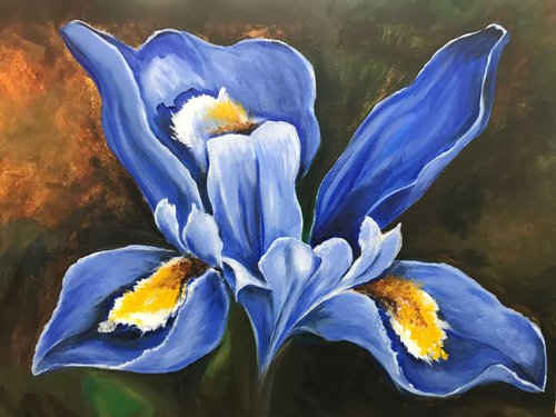 Spring Iris by Carolyn Shoemaker (Soma)