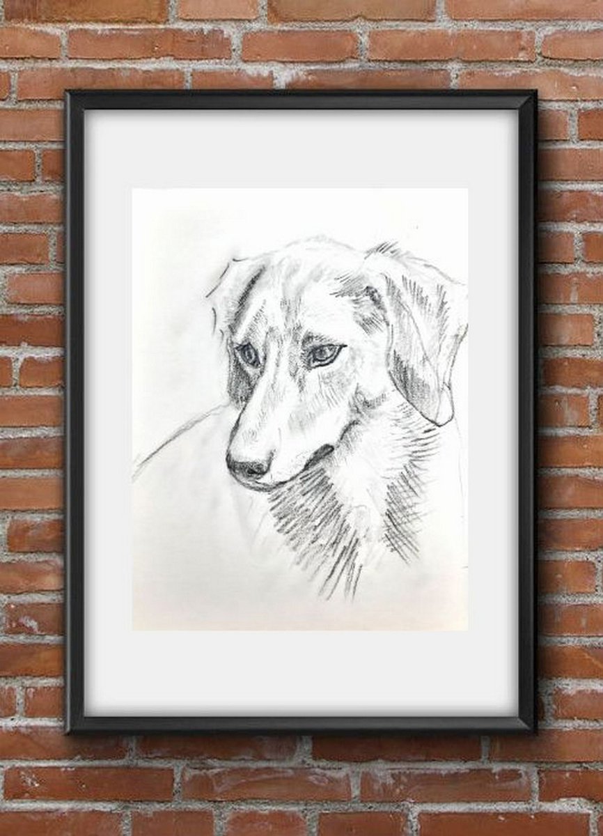 Jack Russel Terrier Portrait 2 Pet Dog Pencil sketch on paper A4 by Asha Shenoy