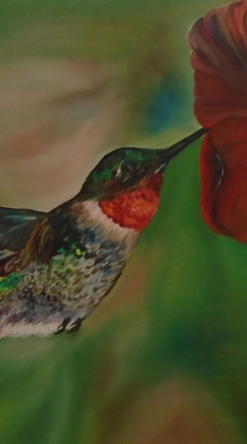 Little Hummingbird by Timea  Valsami