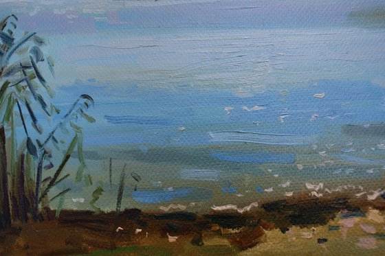 "Spring morning ner the lake"
