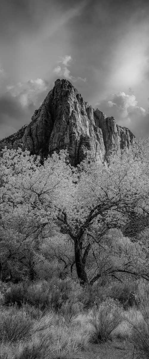 Watchman - Zion National Park by Nick Psomiadis