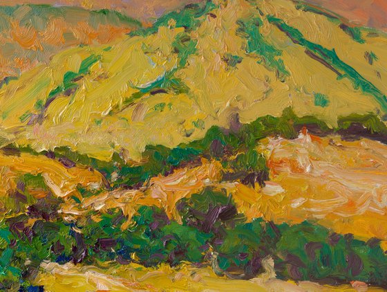 Summer. Mountains in Calfiornia