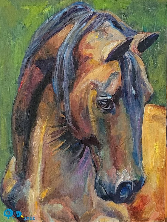 Amber, Expressive Horse Original Oil Painting, Contemporary