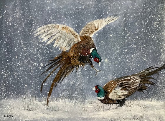 Pheasant’s