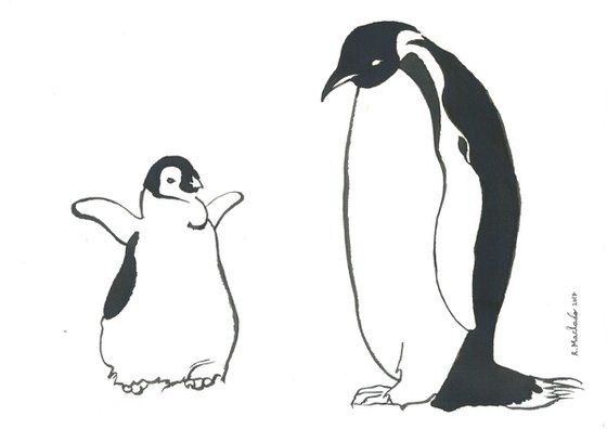 Penguin I Animal Drawing