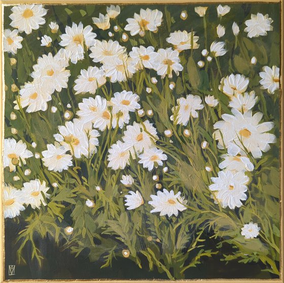 Daisies, "Moments" series