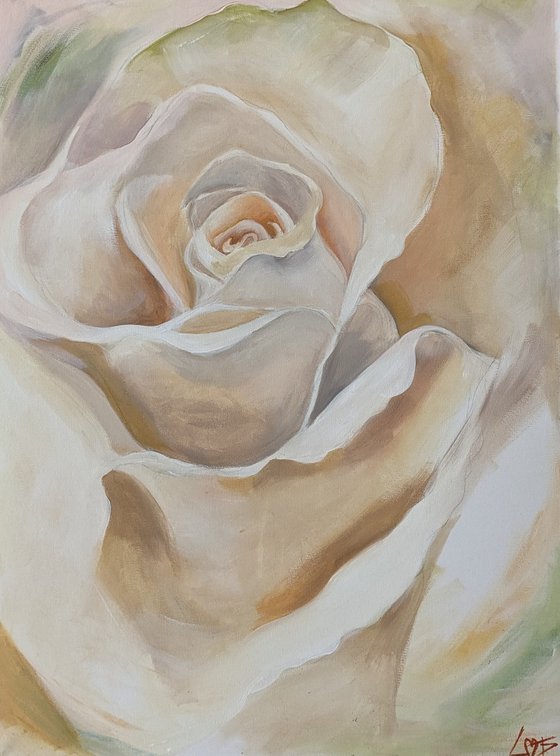 Cream rose.