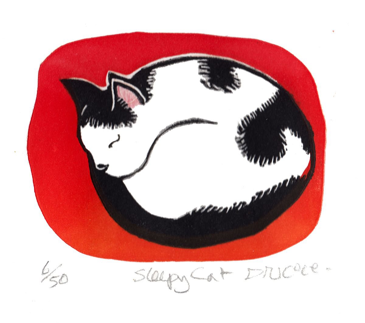 Sleeping Cat by Drusilla Cole