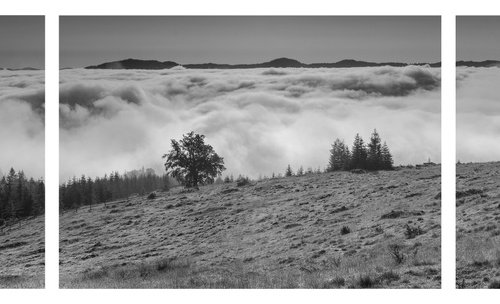 Covered in morning fog. B&W by Valerix