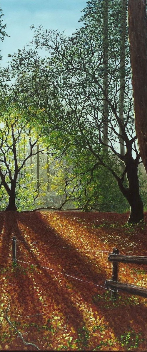 Forest Clearing by Hazel Thomson