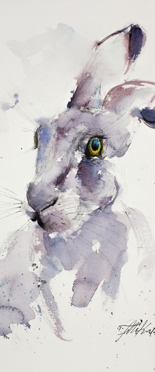 Purple Hare by Tomasz Mikutel