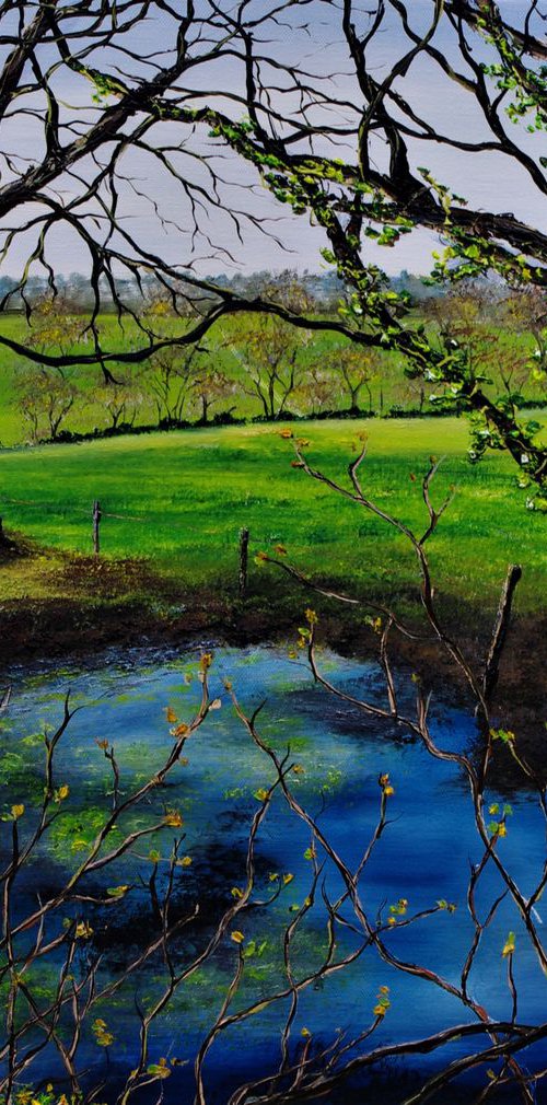 Pond In November by Hazel Thomson