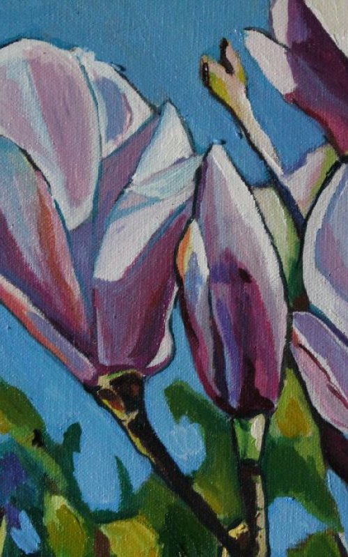 Magnolias by Emma Cownie