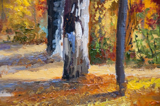 Fall forest.