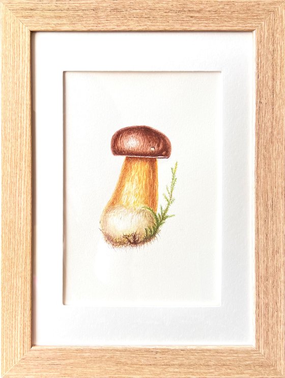 Pretty Little Mushroom