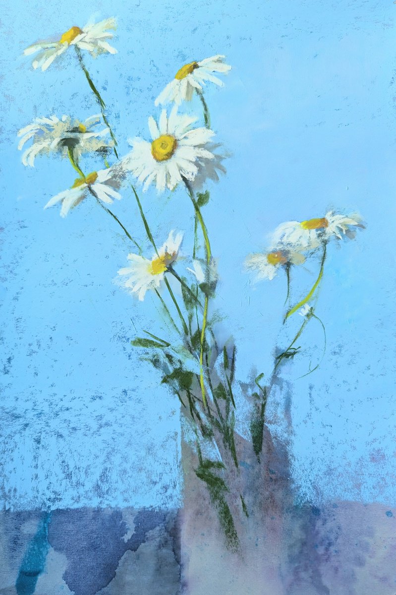 Botanical Pastel Drawing By Silja Salmistu, 12 X 18", Day`s Eye, Original Artwork