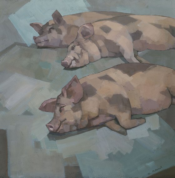 Sleeping Pigs
