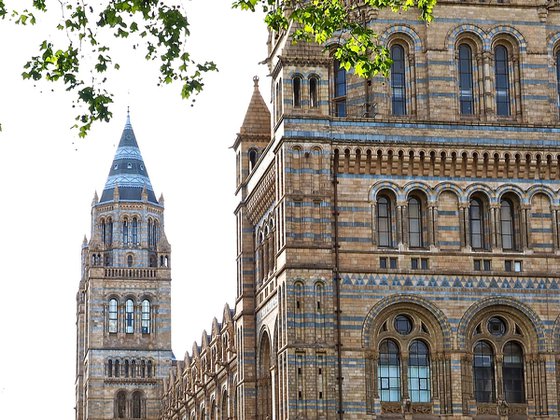 Natural History Museum