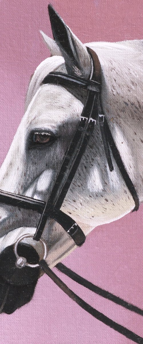 Horse Portrait 97 by Anastasia Parfilo