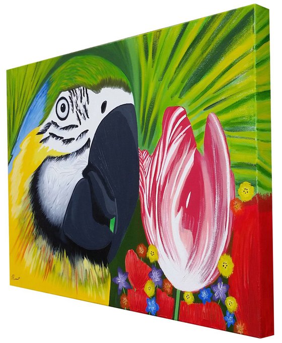 Bird of Paradise