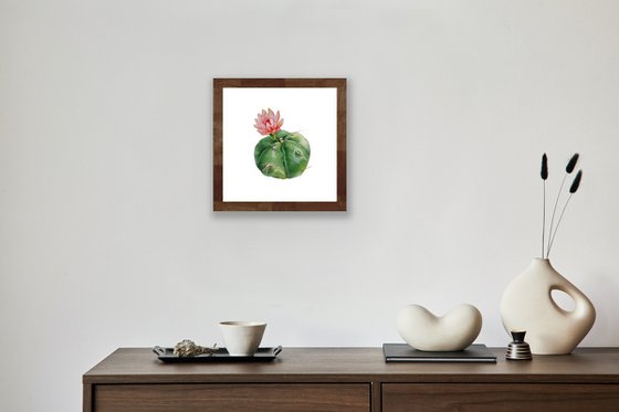 Cactus with a red flower. A series of original watercolour artwork.