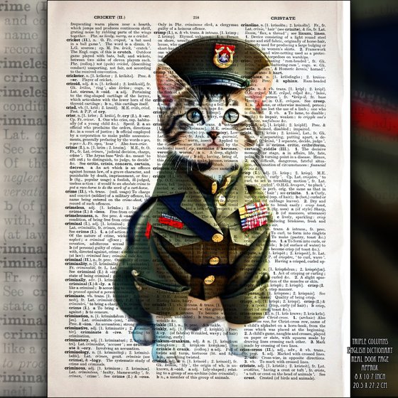 Military Dressed Kitty 2