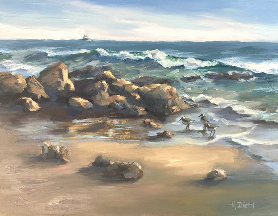 Crystal Cove Seas