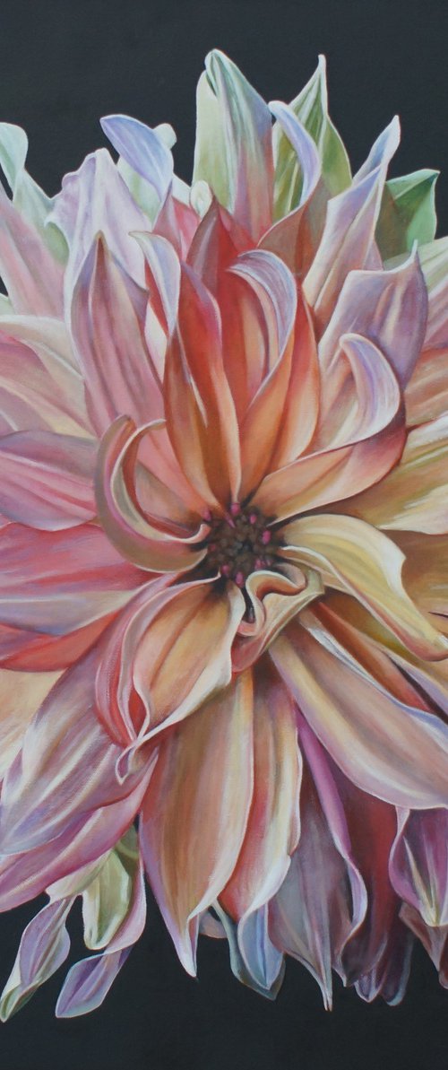 Petal Power Dahlia by Sandra Michele Knight