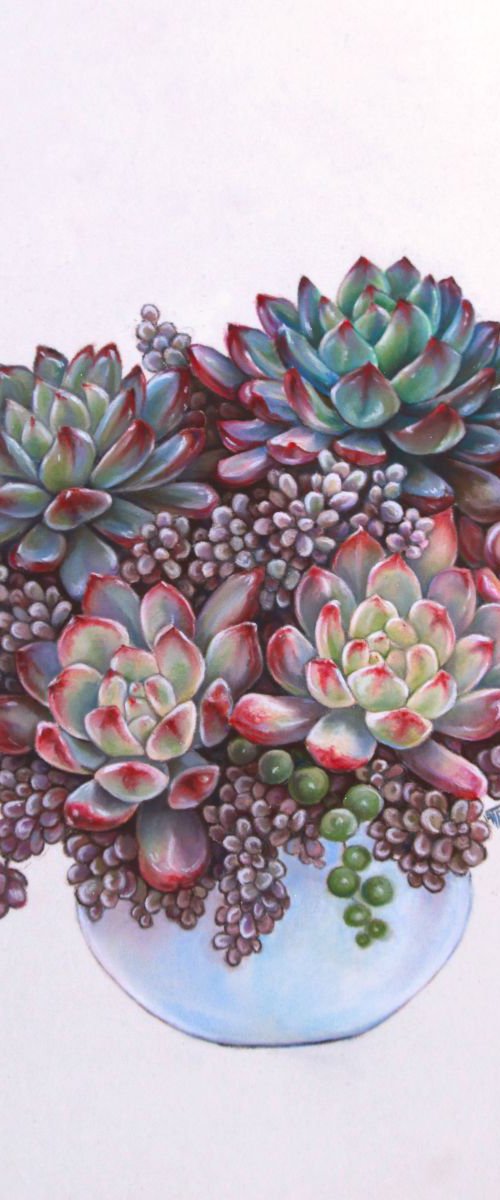 Succulents composition by Tatjana Bril