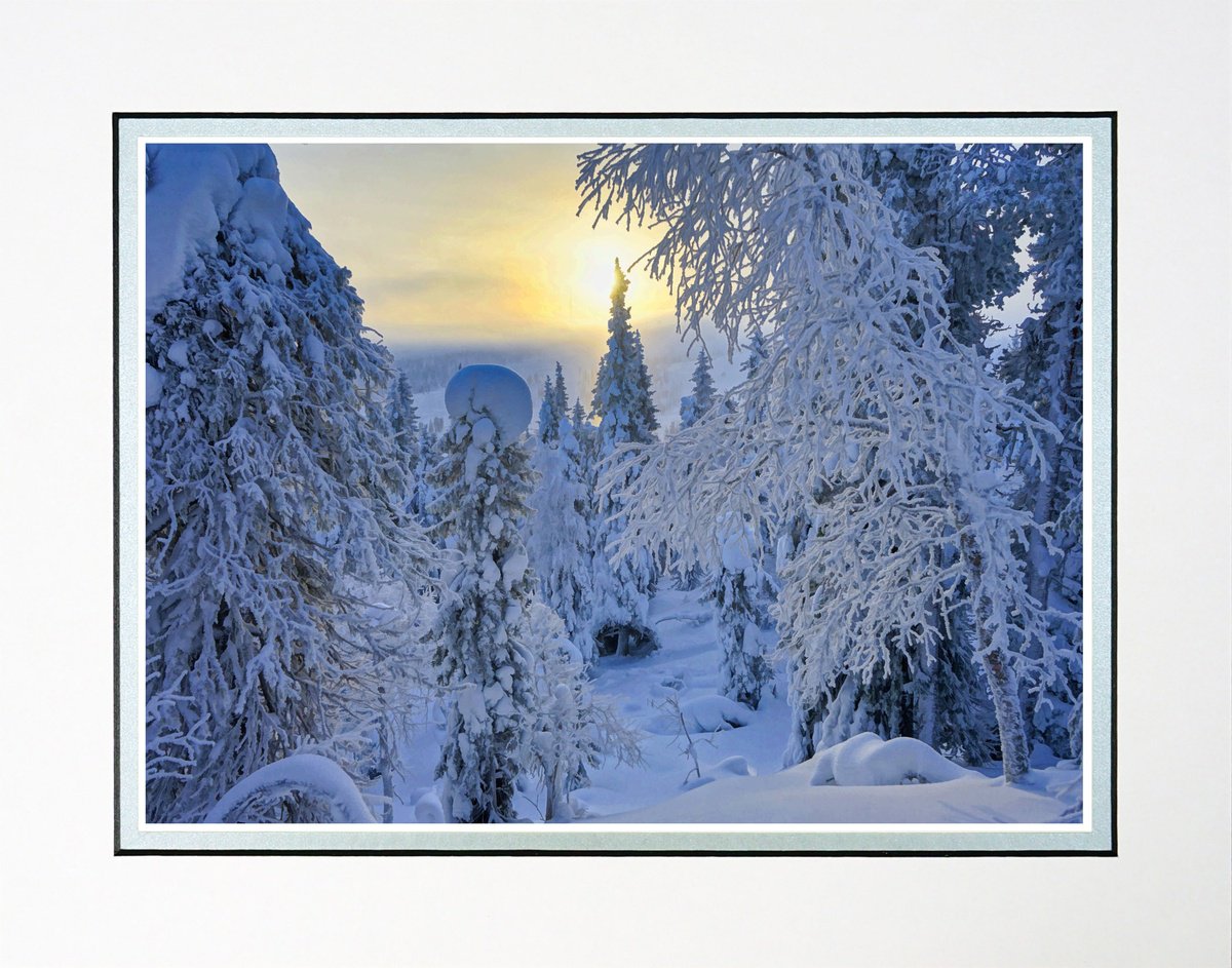 Finland Snow Forest five by Robin Clarke