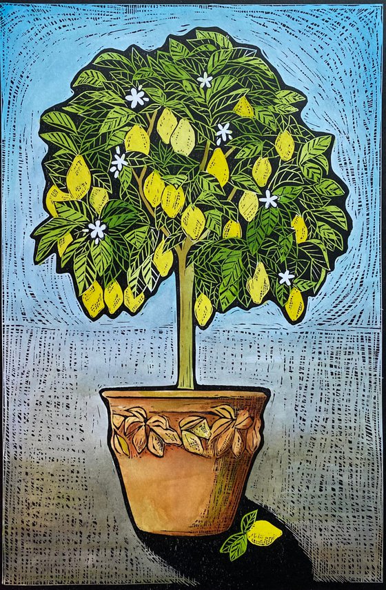 Lemon Tree. 2/25
