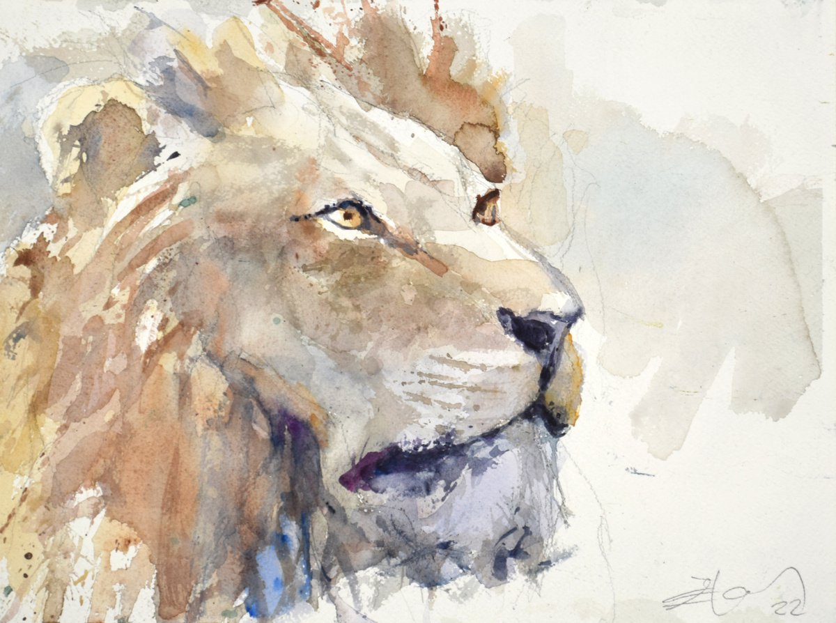 Animal Watercolour By Goran Zigolic Watercolors, 15 X 12, Lion
