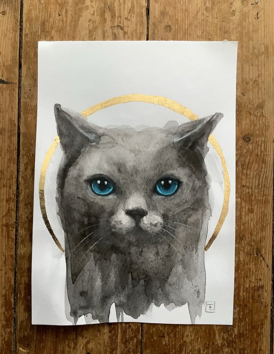 CHAT AUX YEUX BLEU