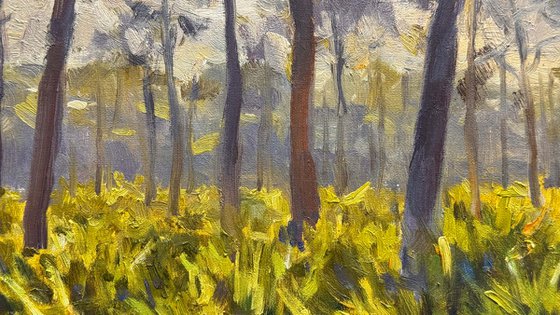 Whispering Pines, Florida