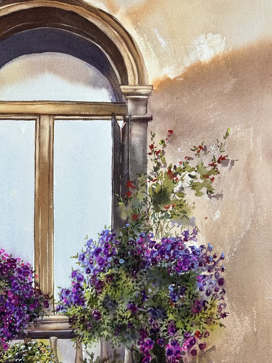 Window with flowers , Venice