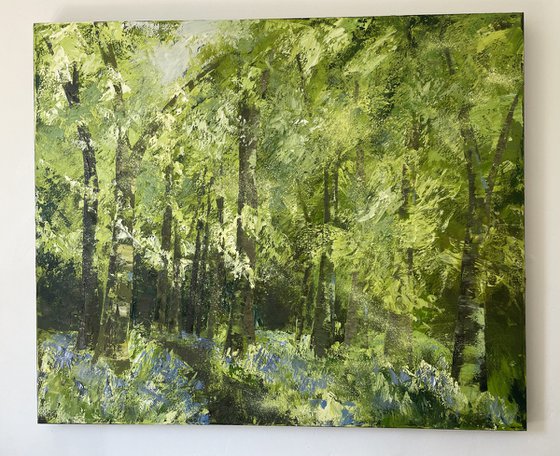 Wild Bluebell Trail