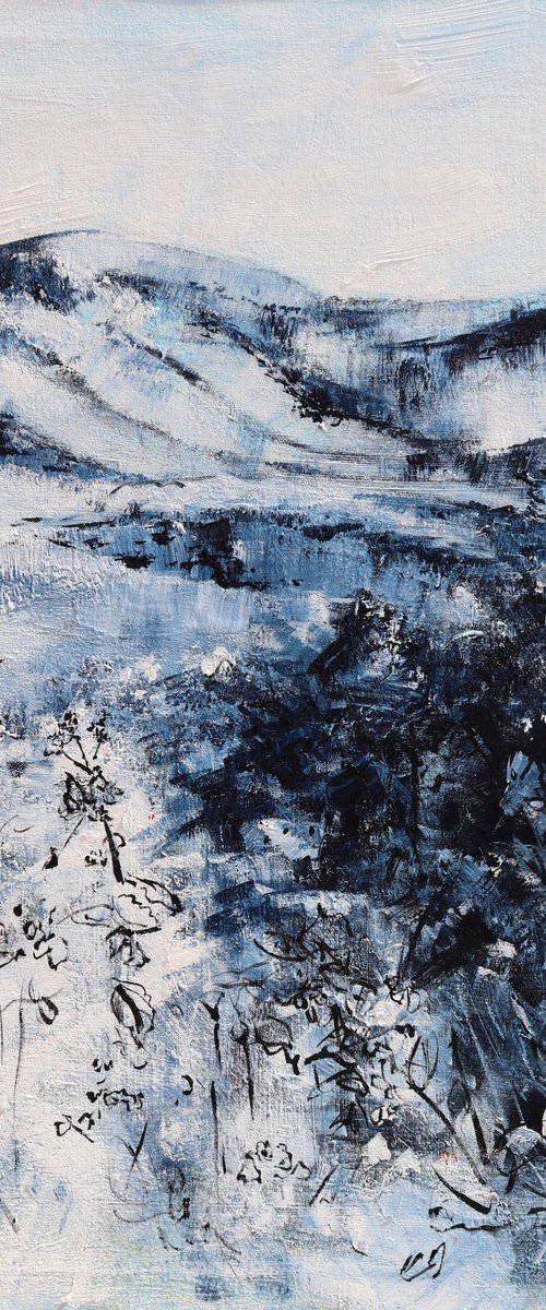 Mountains at Shenandoah, No.22-05 by Alyse Radenovic
