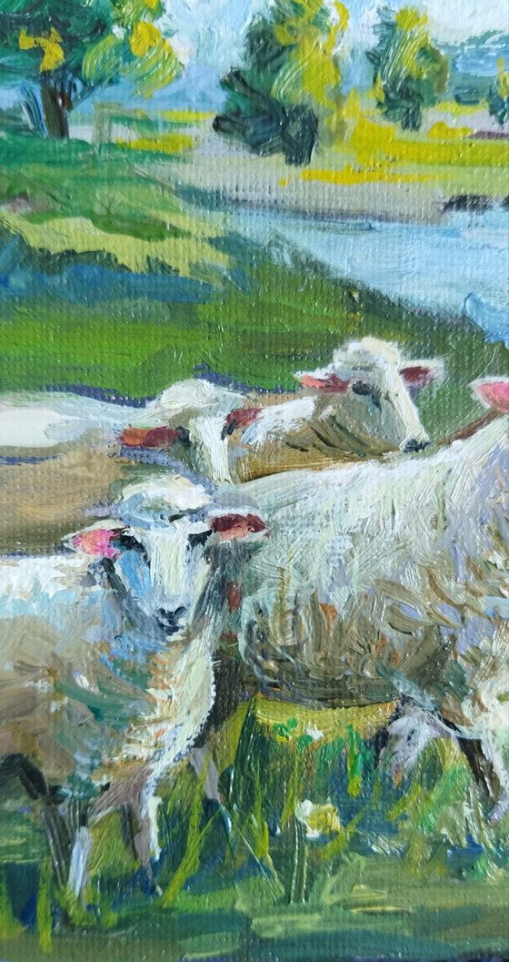 Sheep by River Landscape