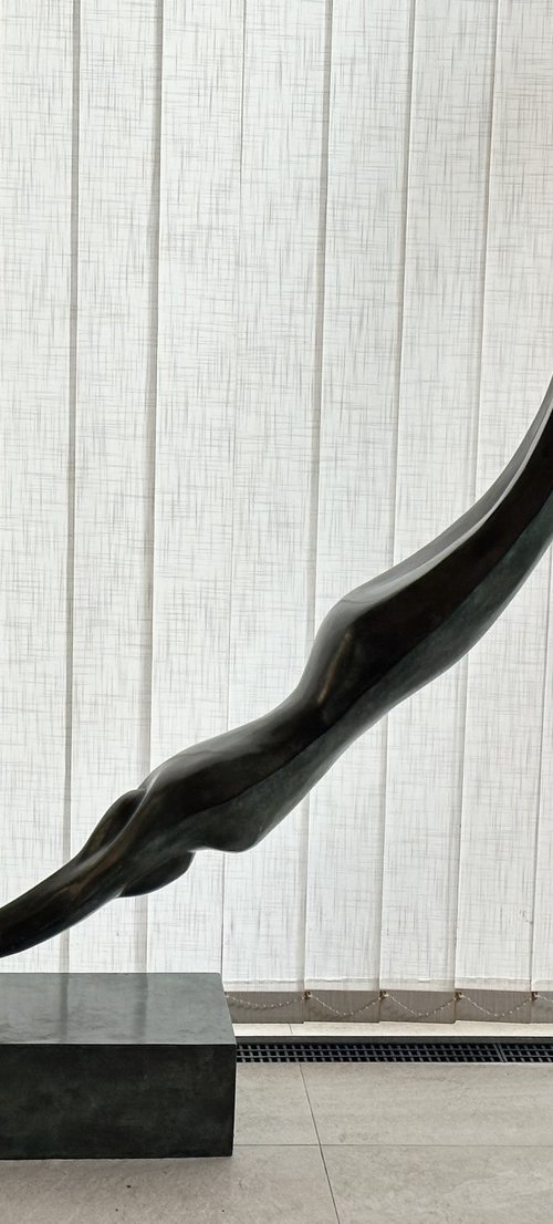 Diver (big) by Toth Kristof