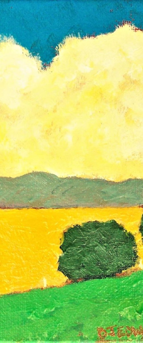 Yellow Field by David J Edwards