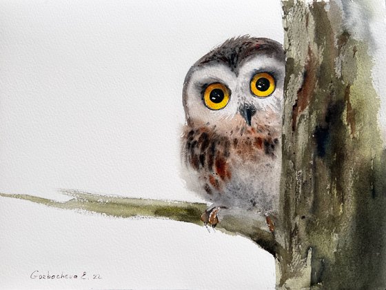 Little owl on a branch #10