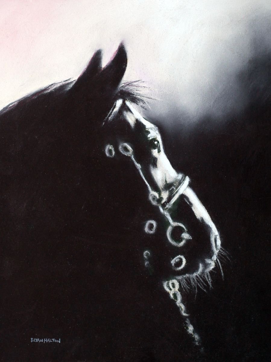 Horse Study by Brian Halton